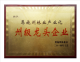 荣誉13.png