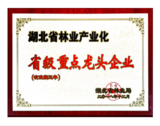 荣誉3.png