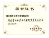 荣誉4.png