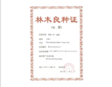 荣誉8.png