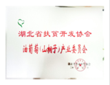 荣誉9.png